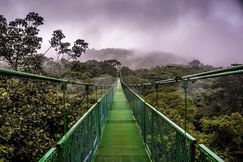 hanging bridges of the monteverde cloudforest in costa rica